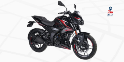 PULSAR N 250 UG/250 CC