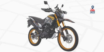 DM/300 CC